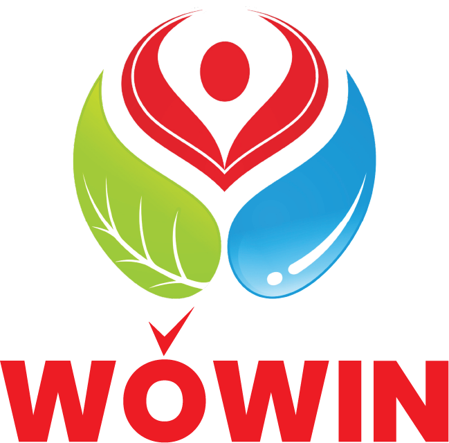 Logo Wowin